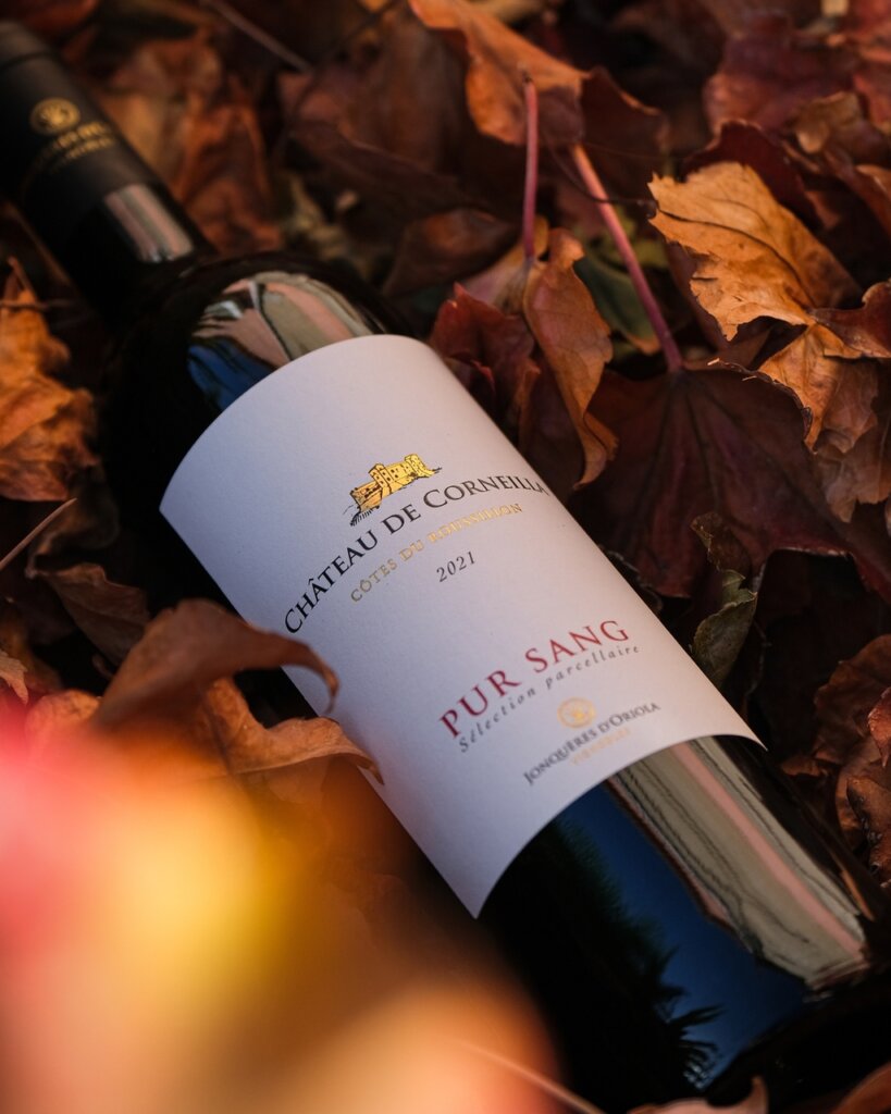 Vin du Roussillon et tapas
