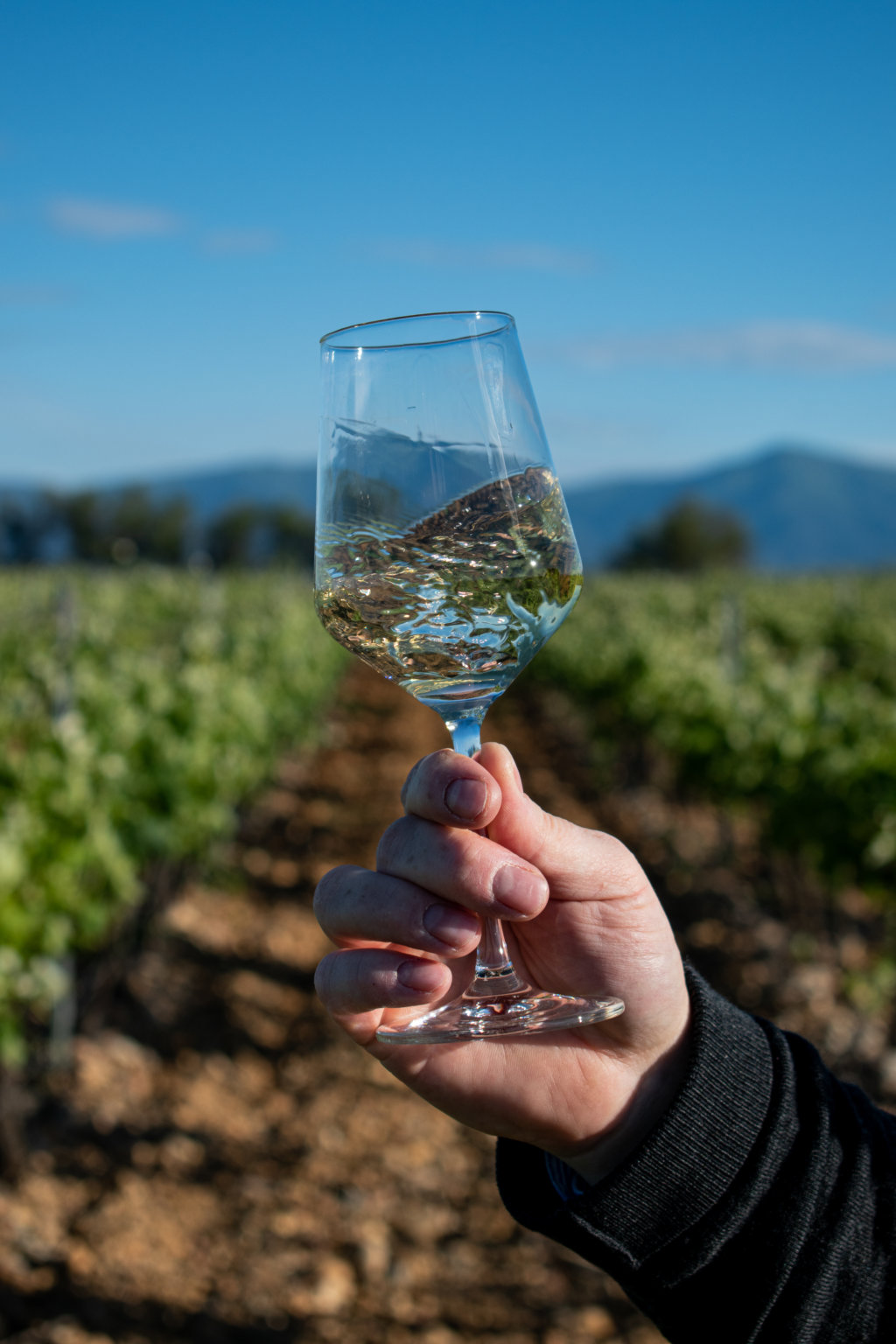 Dégustation vin Perpignan - Jonquères d'Oriola Vignobles