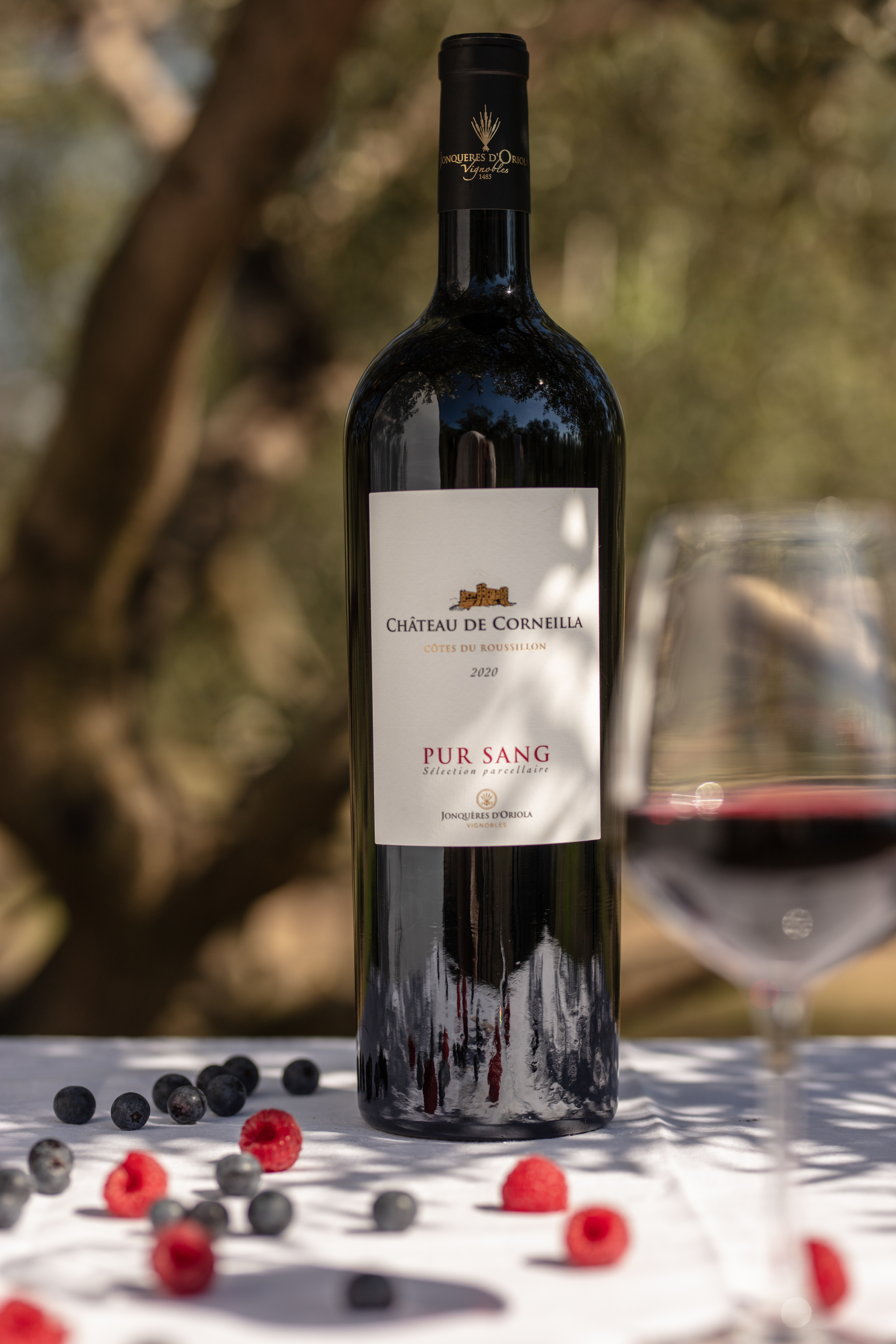 Focus sur nos vins du Roussillon rouges