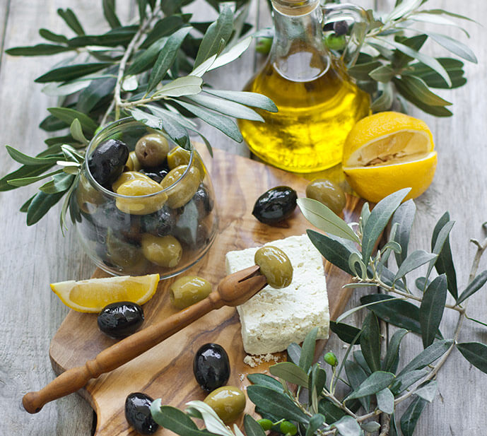 Jonquères d&#039;Oriola vineyard - Olive oil tasting - Languedoc Roussillon