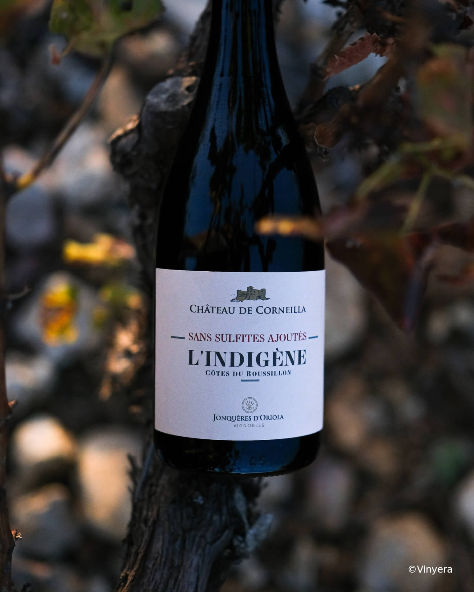 L'indigène rouge