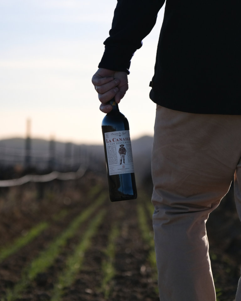 Vins du Roussillon : tout savoir sur les processus de vinification