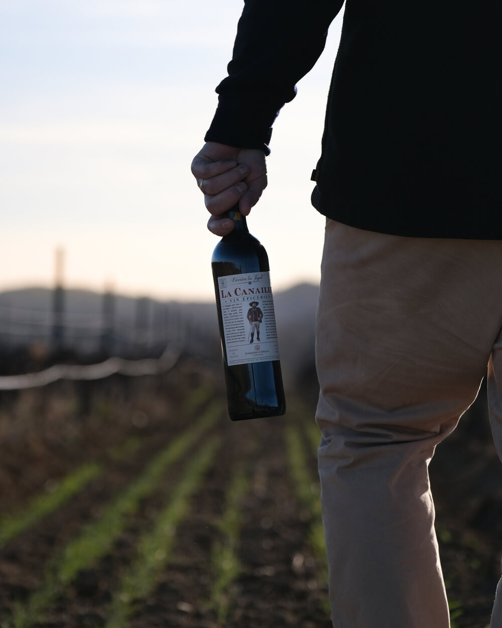 Vins du Roussillon : tout savoir sur les processus de vinification